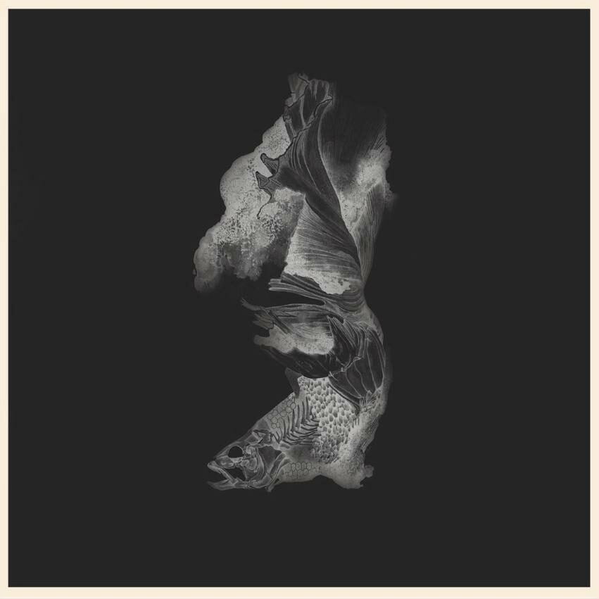 Image couverture de l'album vinyle Yurodivy - Aphos