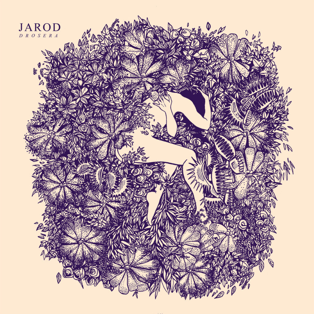 JAROD - Drosera | 12"