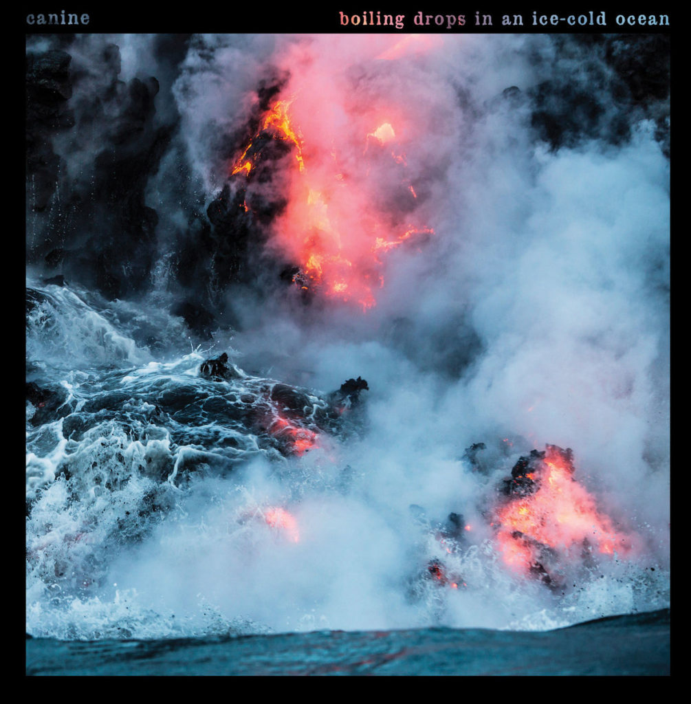 CANINE - Boiling drops in an ice​-​cold ocean | 12"