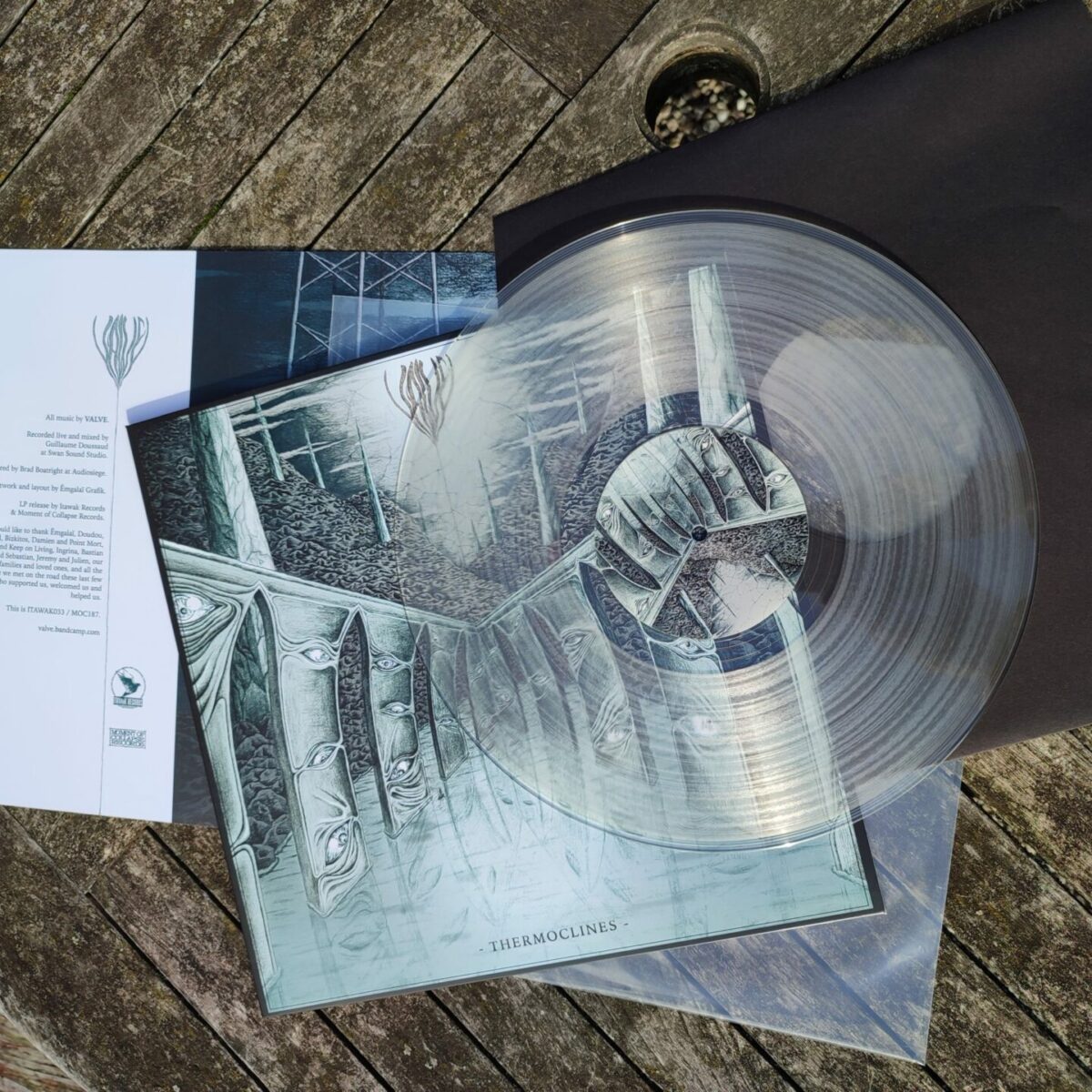 VALVE - Thermoclines | 12" – Image 2
