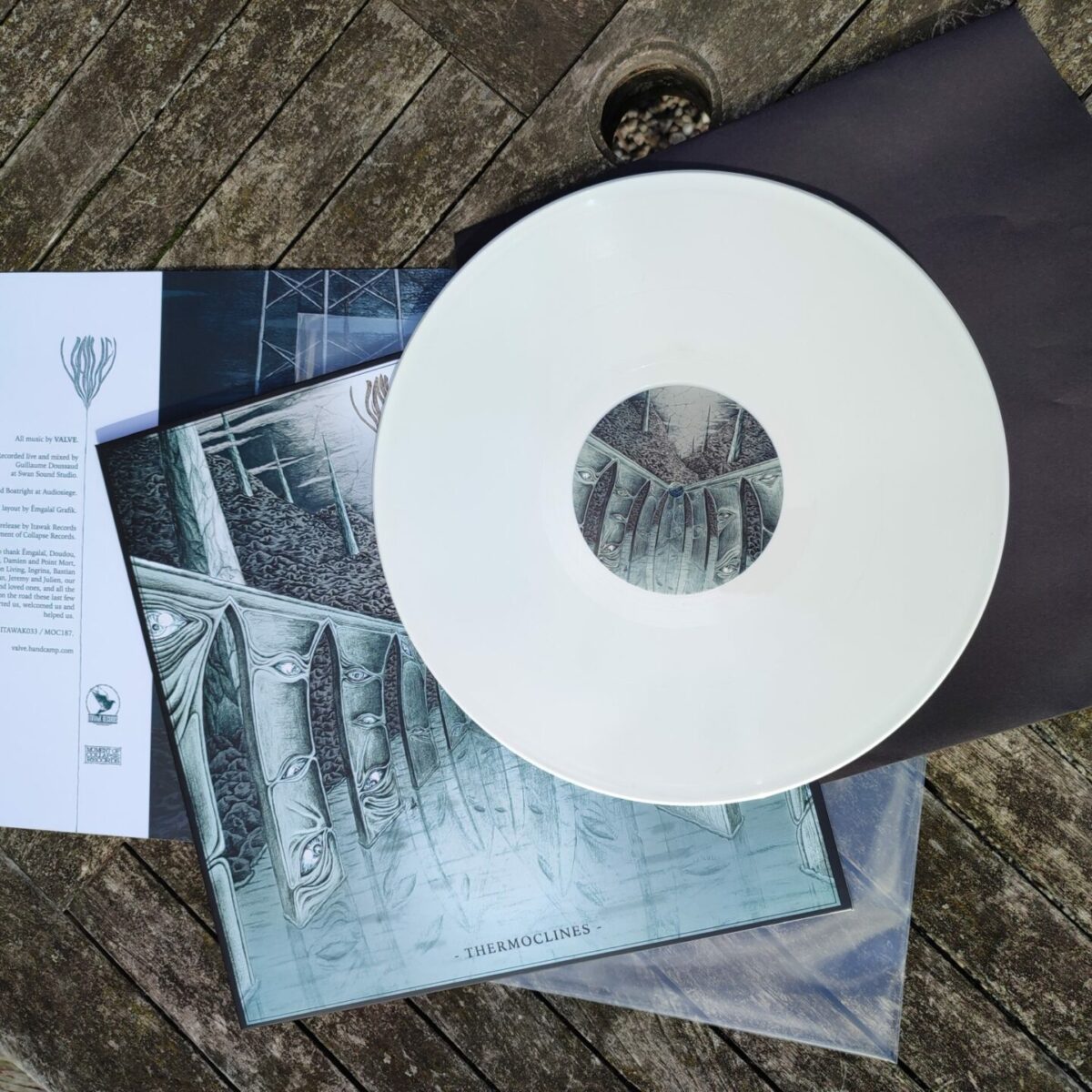 VALVE - Thermoclines | 12" – Image 3