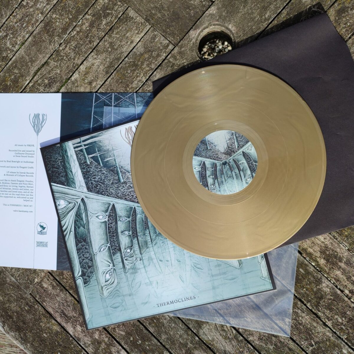 VALVE - Thermoclines | 12" – Image 4