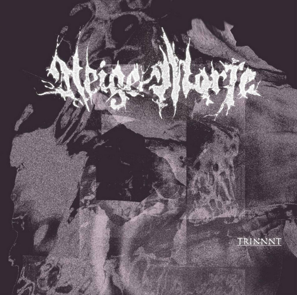 NEIGE MORTE - Trinnnt | 12"