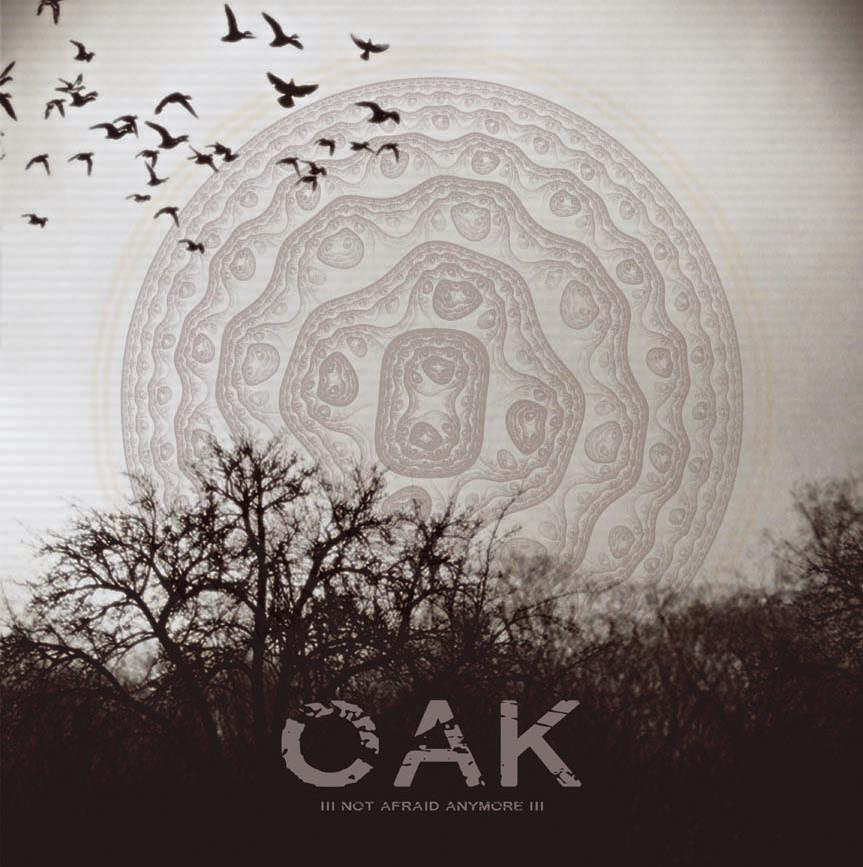 pochette de l'album Not afraid anymore - Oak