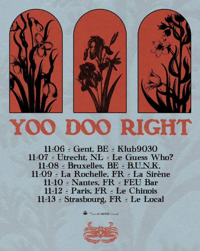 Affiche de la tournée yoo doo right - 2025